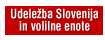 Udeležba Slovenija in volilne enote