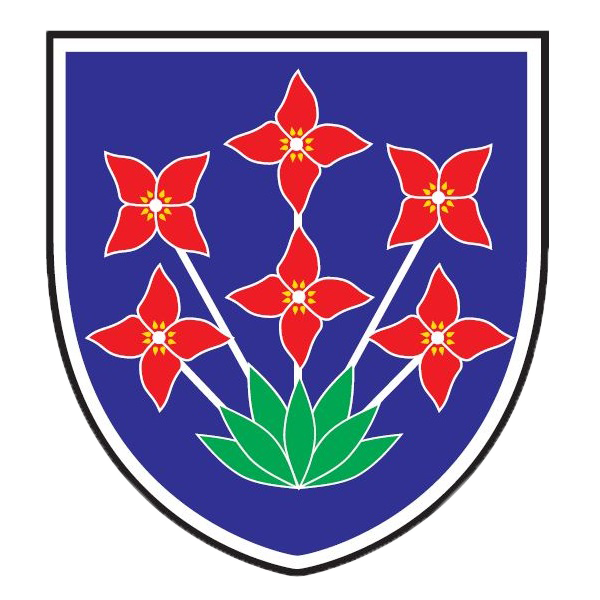 Grb: Občina Šalovci