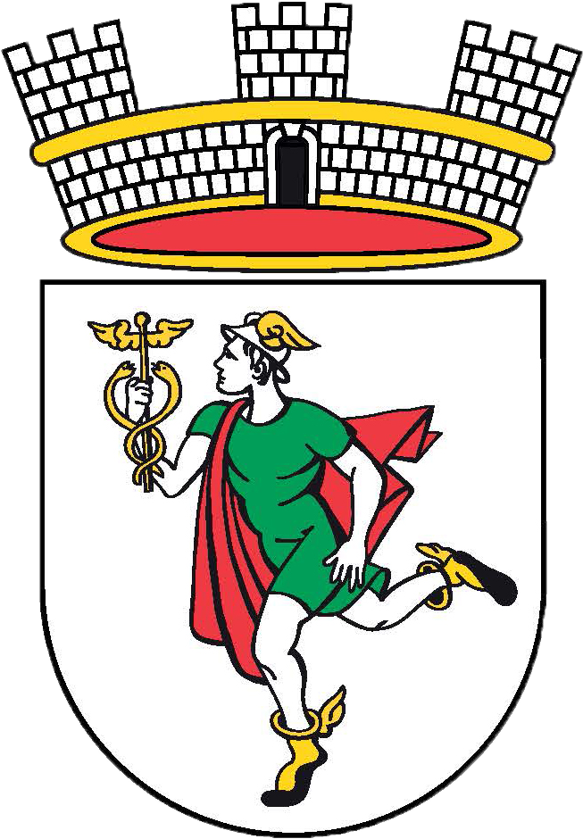 Grb: Občina Idrija