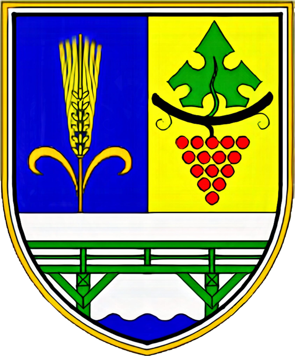 Grb: Občina Videm
